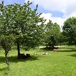 Modra Pliešovce