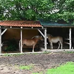 Modra Hébergement de vacances Pliešovce