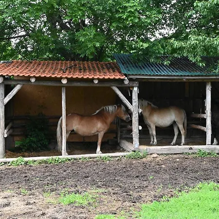 Modrá Casa de Férias Pliešovce