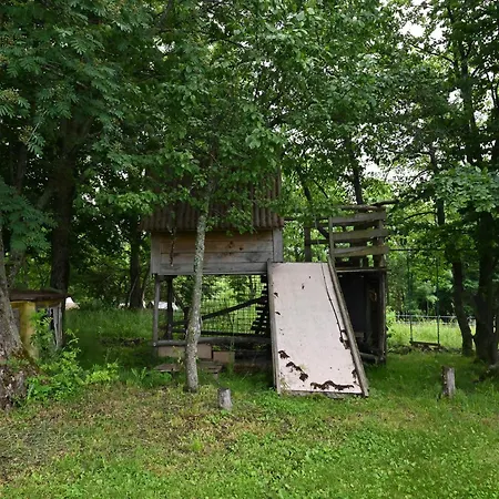 Modrá * Pliešovce